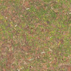 Textur Rasen