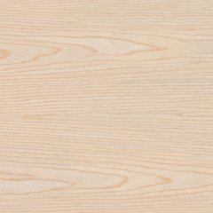 Textur Helle Eiche